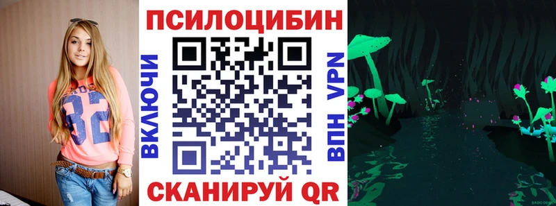 Псилоцибиновые грибы Psilocybe  где продают   Карачев 