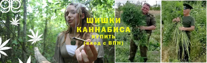 Шишки марихуана THC 21%  купить   Карачев 